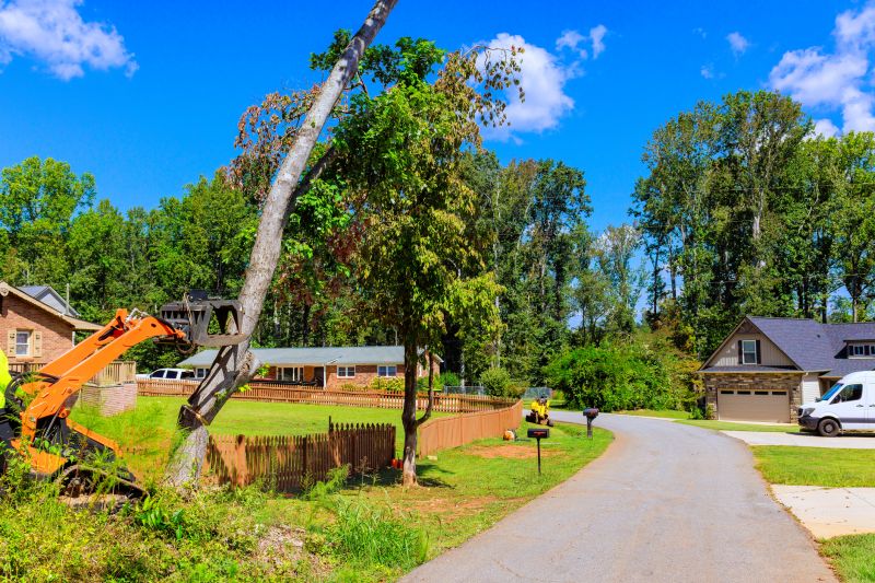 Contact About Land Clearing