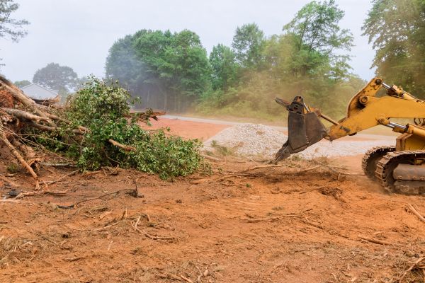 Ground Clearing in South Zanesville