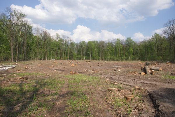 Cost of Pasture Clearing in South Zanesville