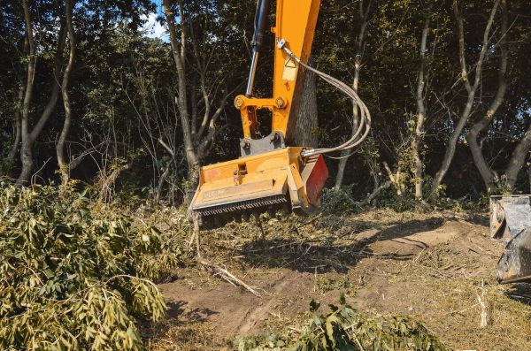Brush Removal Service in South Zanesville