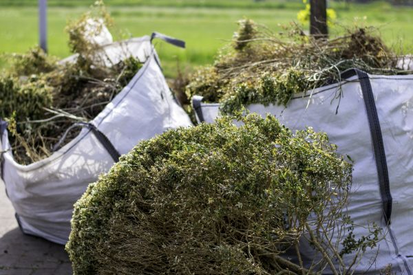Cost of Bushes Clearing in South Zanesville