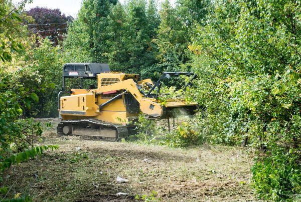Cost of Pathway Clearing in South Zanesville