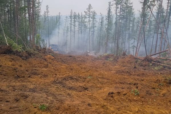 Cost of Hill Clearing in South Zanesville