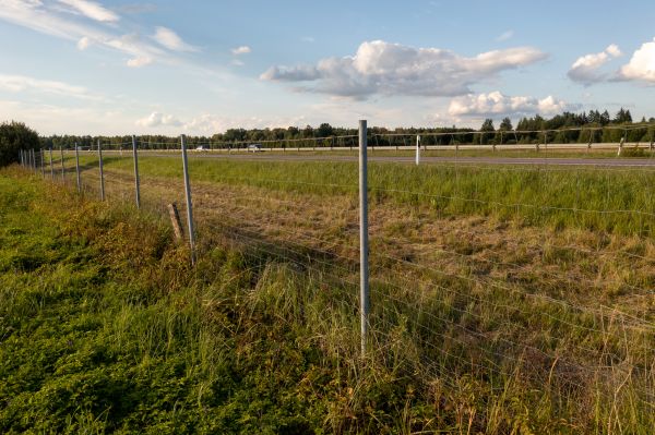 Cost of Property Line Clearing in South Zanesville