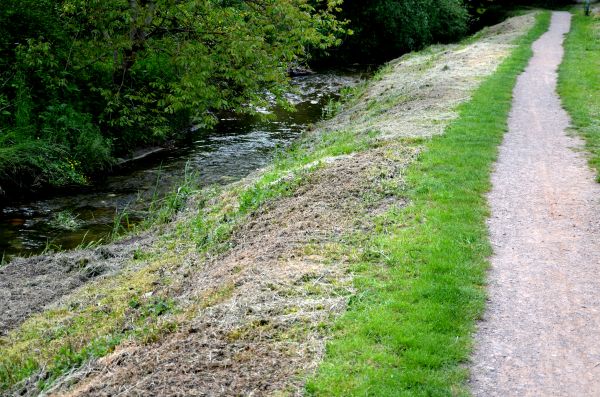 Cost of Trail Cutting in South Zanesville
