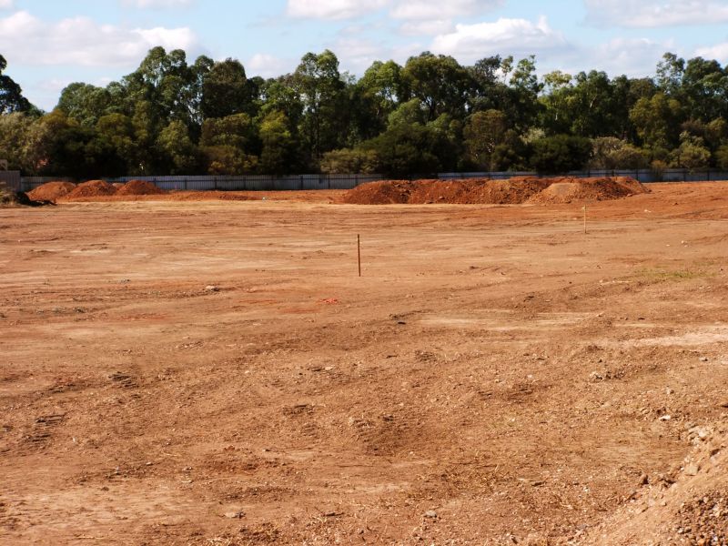 Experienced Land Clearing Contractors